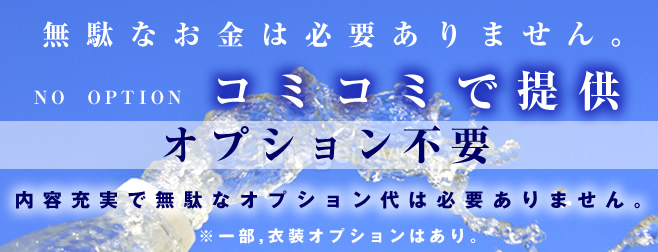 コミコミでオプション不要